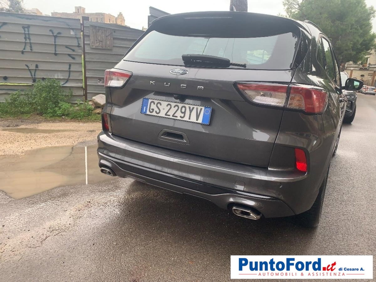 Ford Kuga 2.0 EcoBlue 120 CV aut. 2WD ST-Line X (5)