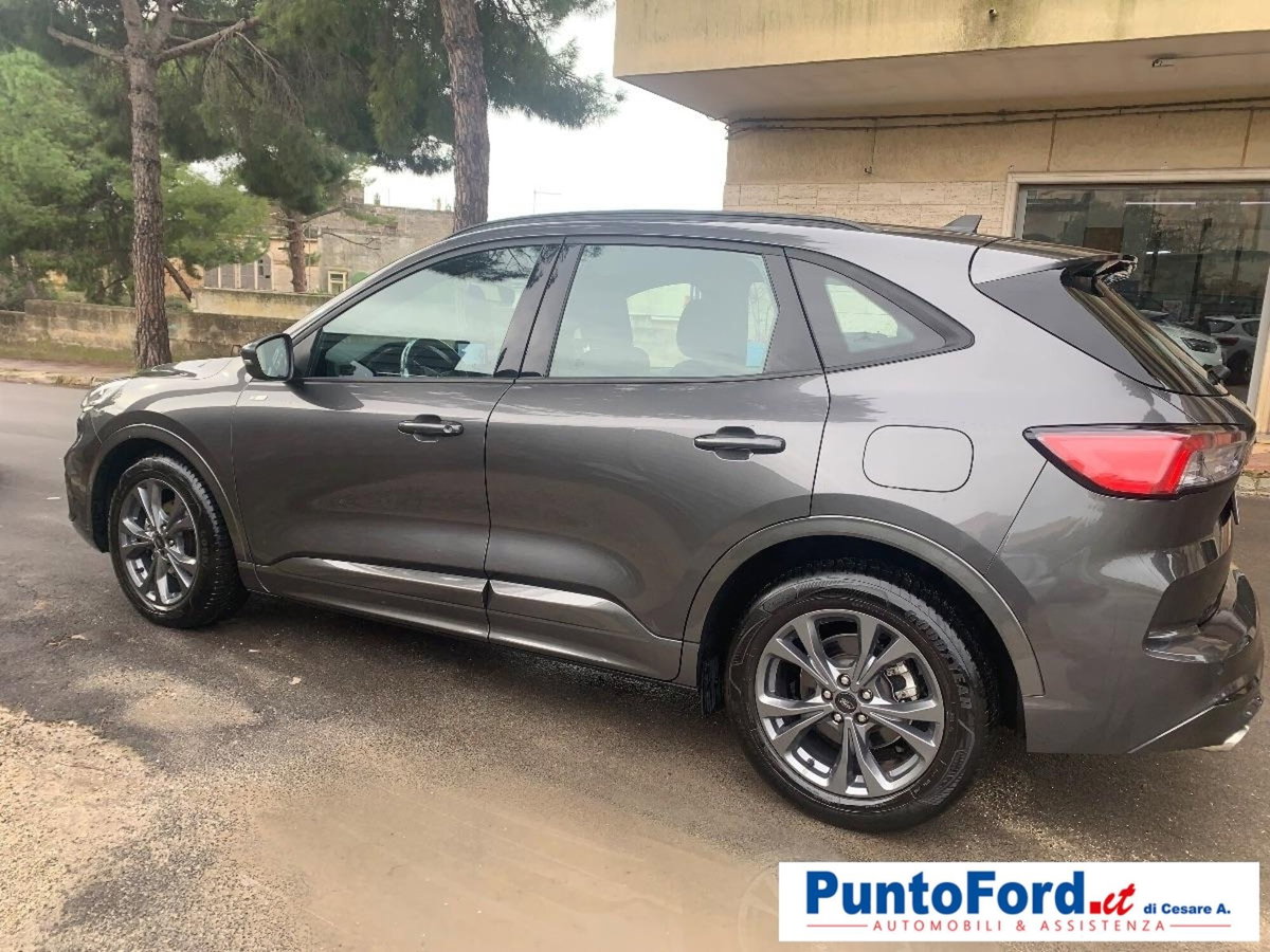 Ford Kuga 2.0 EcoBlue 120 CV aut. 2WD ST-Line X (9)