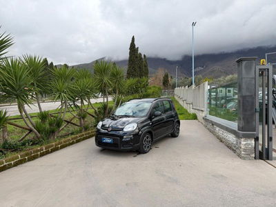 Fiat Panda 1.0 firefly hybrid Pop s&s 70cv usata