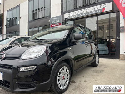 Fiat Panda Cross Cross 1.0 FireFly S&S Hybrid usata