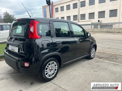Fiat Panda Cross Cross 1.0 FireFly S&S Hybrid (4)