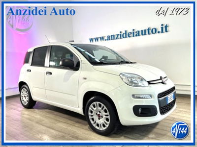 Fiat Panda 1.2 Easy Van 4 posti usata