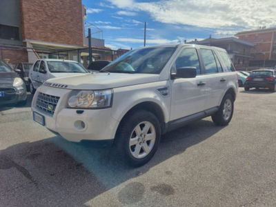 Land Rover Freelander 2.2 TD4 S.W. SE usata