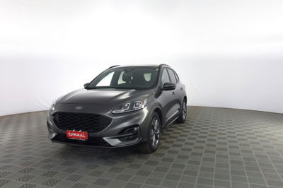 Ford Kuga 1.5 EcoBlue 120 CV 2WD ST-Line usata