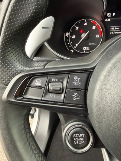 Alfa Romeo Stelvio Stelvio 2.2 Turbodiesel 210 CV AT8 Q4 Veloce (13)