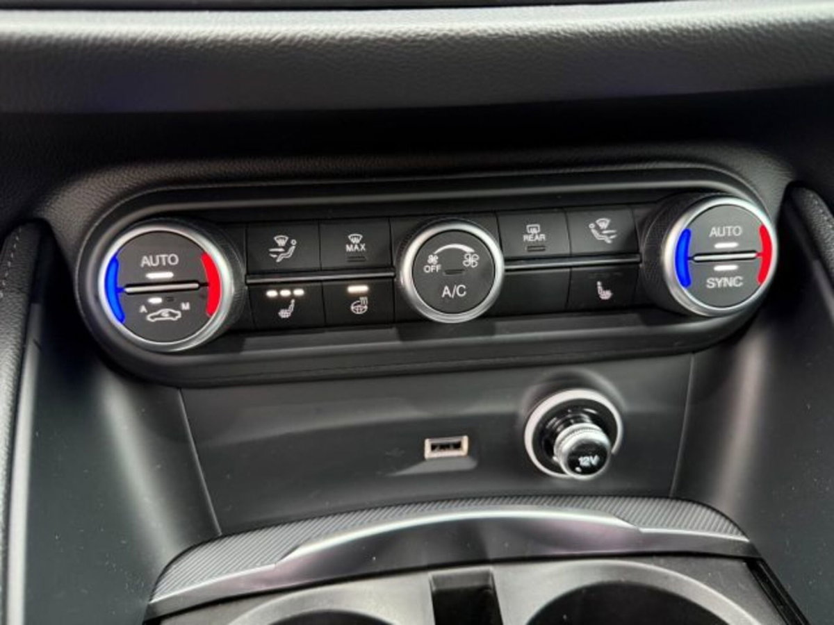Alfa Romeo Stelvio Stelvio 2.2 Turbodiesel 210 CV AT8 Q4 Veloce (19)