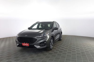 Ford Kuga 1.5 EcoBlue 120 CV 2WD ST-Line usata