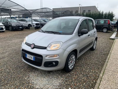 Fiat Panda 1.2 EasyPower Easy usata