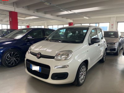 Fiat Panda 1.0 firefly hybrid s&s 70cv 5p.ti usata