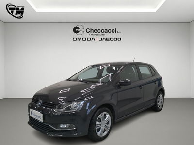 Volkswagen Polo 1.4 TDI 5p. Comfortline usata