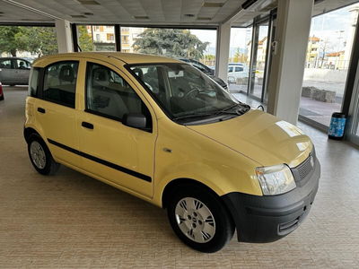 Fiat Panda 1.1 Active usata