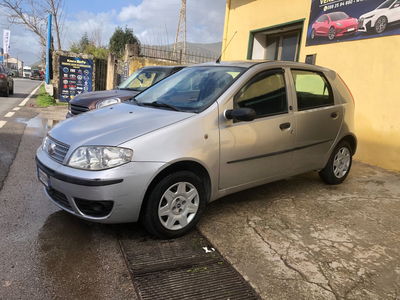Fiat Punto 1.2 5 porte Active Natural Power usata
