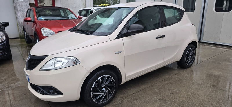 Lancia Ypsilon 1.2 69 CV 5 porte Gold
