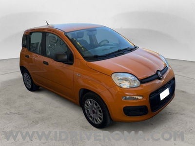 Fiat Panda 1.2 Easy usata