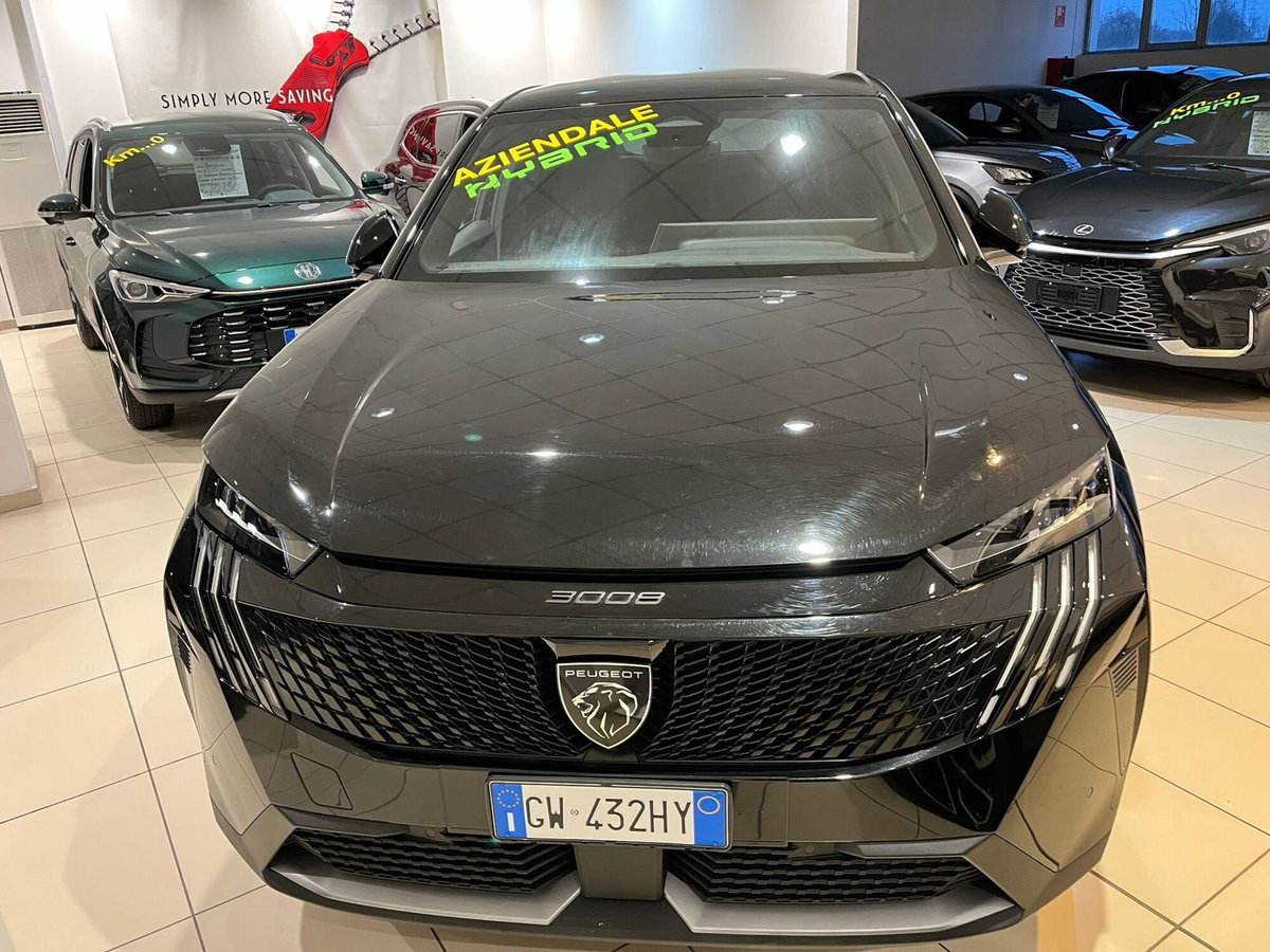 Peugeot 3008 73 kWh GT (3)