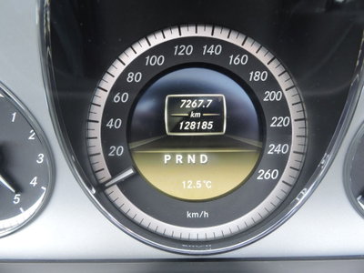 Mercedes-Benz Classe E Cabrio 220 CDI Cabrio BlueEFFICIENCY (15)