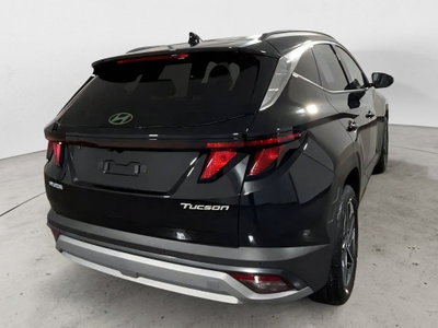 Hyundai Tucson 1.6 crdi 48V Business 2wd dct (4)