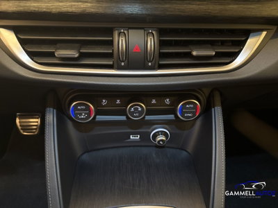 Alfa Romeo Stelvio Stelvio 2.2 Turbodiesel 190 CV AT8 Q4 Super Business (13)