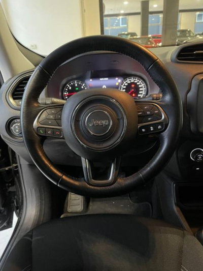 Jeep Renegade 1.6 Mjt 120 CV Limited (17)