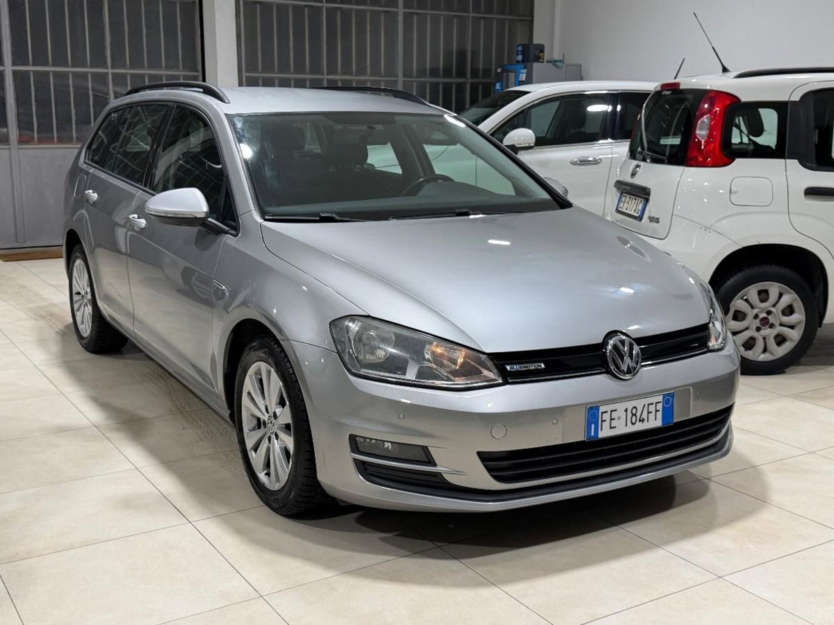 Volkswagen Golf Variant 1.4 TGI Highline BlueMotion (2)