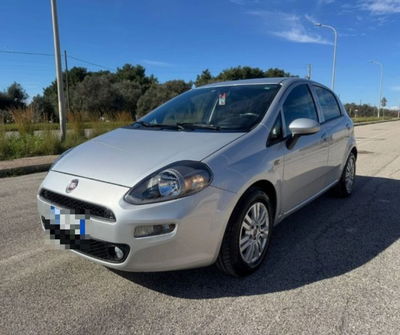 Fiat Punto 1.3 MJT II S&S 95 CV 5 porte Street usata