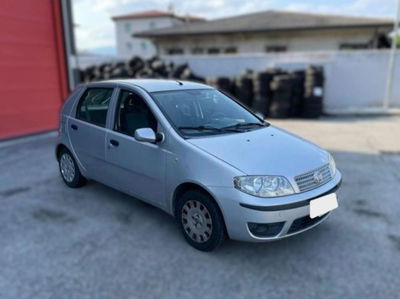 Fiat Punto Classic 1.2 5 porte Active GPL usata