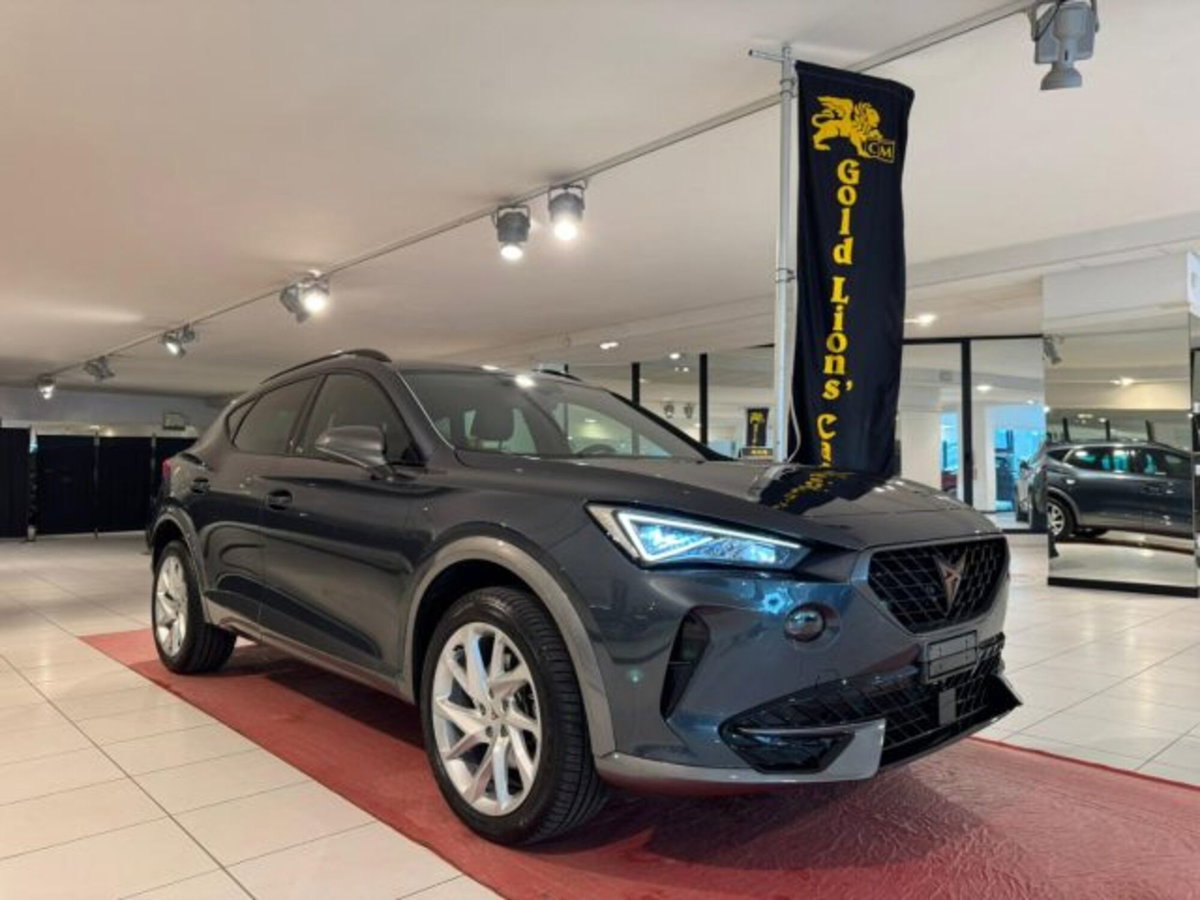 Cupra Formentor Formentor 2.0 tdi 4drive 150cv dsg
