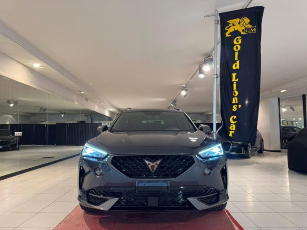 Cupra Formentor Formentor 2.0 tdi 4drive 150cv dsg (2)