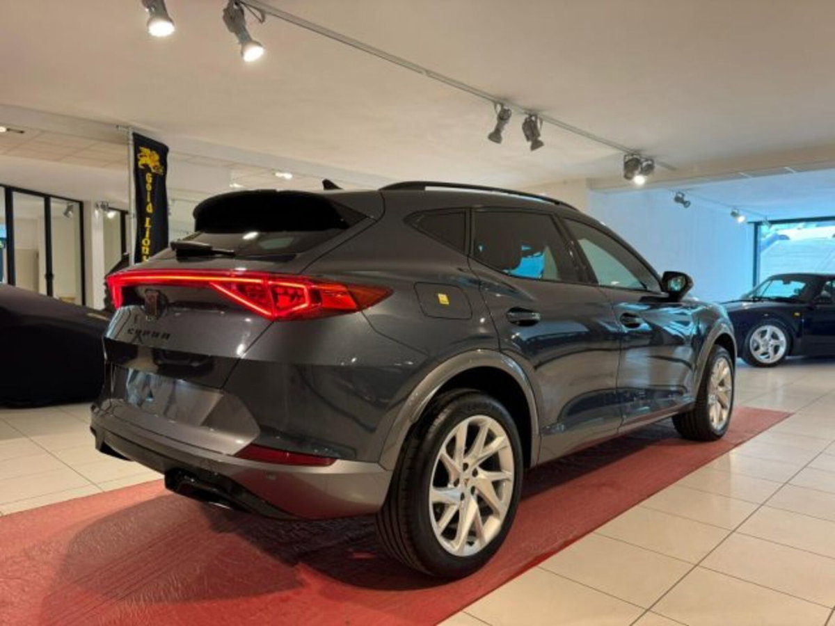 Cupra Formentor Formentor 2.0 tdi 4drive 150cv dsg (7)