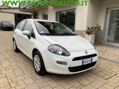 Fiat Punto 1.3 MJT II 75 CV 5 porte Easy (4)