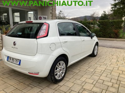 Fiat Punto 1.3 MJT II 75 CV 5 porte Easy (5)