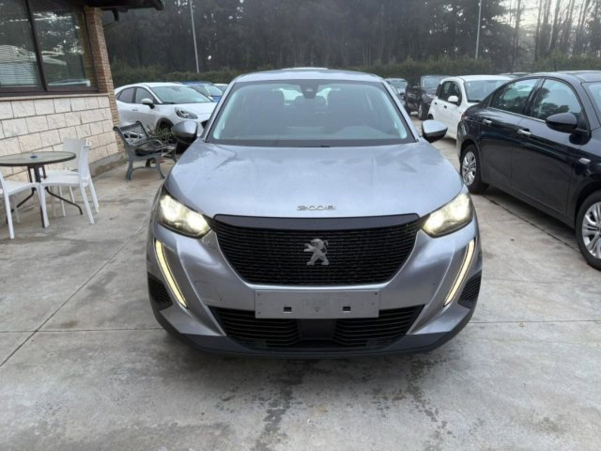 Peugeot 2008 BlueHDi 110 S&S Active Pack (2)