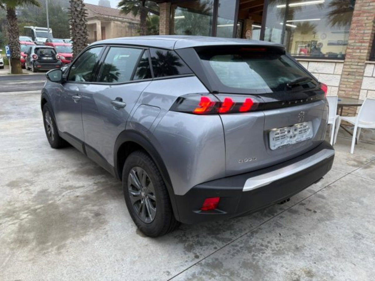 Peugeot 2008 BlueHDi 110 S&S Active Pack (6)