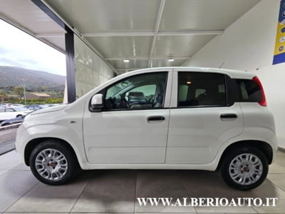 Fiat Panda 1.3 MJT S&S Easy (5)