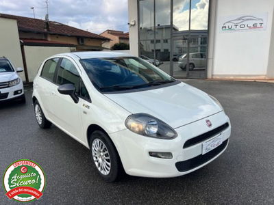 Fiat Punto 1.4 8V 5 porte Easypower Street usata