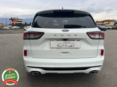 Ford Kuga 1.5 EcoBlue 120 CV aut. 2WD ST-Line X Design (12)