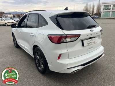Ford Kuga 1.5 EcoBlue 120 CV aut. 2WD ST-Line X Design (13)