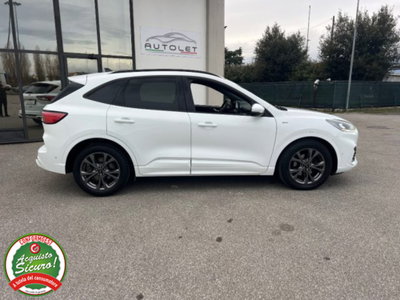 Ford Kuga 1.5 EcoBlue 120 CV aut. 2WD ST-Line X Design (14)