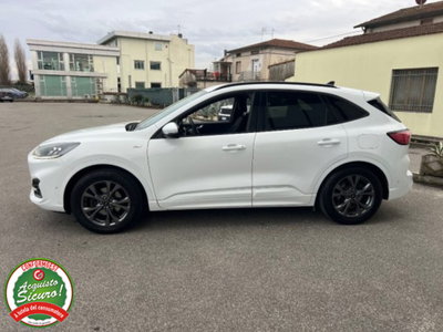 Ford Kuga 1.5 EcoBlue 120 CV aut. 2WD ST-Line X Design (15)
