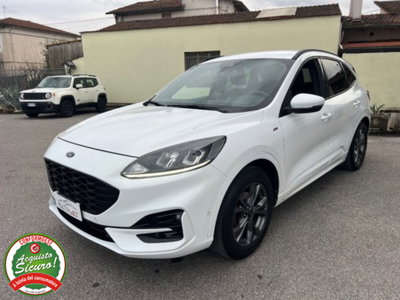 Ford Kuga 1.5 EcoBlue 120 CV aut. 2WD ST-Line X Design (3)