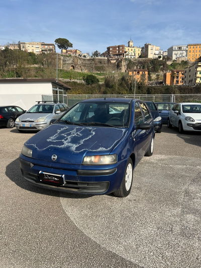 Fiat Punto 1.2i cat 5 porte Feel usata