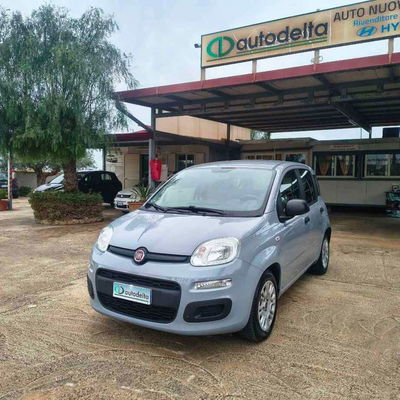 Fiat Panda 1.0 FireFly S&S Hybrid usata