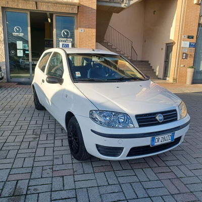 Fiat Punto 1.2 3 porte Active usata