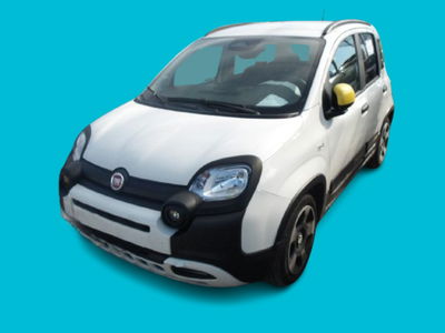 Fiat Panda Cross Cross 1.0 FireFly S&S Hybrid usata