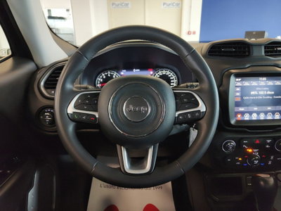 Jeep Renegade 1.5 Turbo T4 MHEV Limited (16)