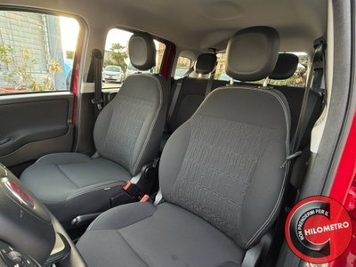Fiat Panda Cross Cross 1.0 FireFly S&S Hybrid (13)