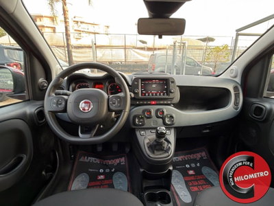 Fiat Panda Cross Cross 1.0 FireFly S&S Hybrid (15)