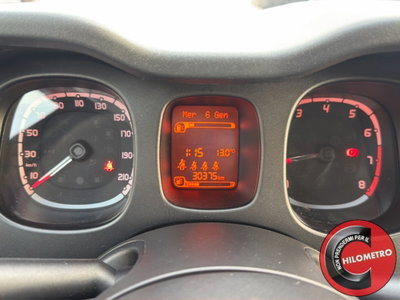 Fiat Panda Cross Cross 1.0 FireFly S&S Hybrid (17)