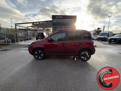 Fiat Panda Cross Cross 1.0 FireFly S&S Hybrid (3)