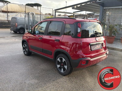 Fiat Panda Cross Cross 1.0 FireFly S&S Hybrid (4)